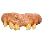 Texas Chainsaw Massacre 2 – Leatherface Teeth
